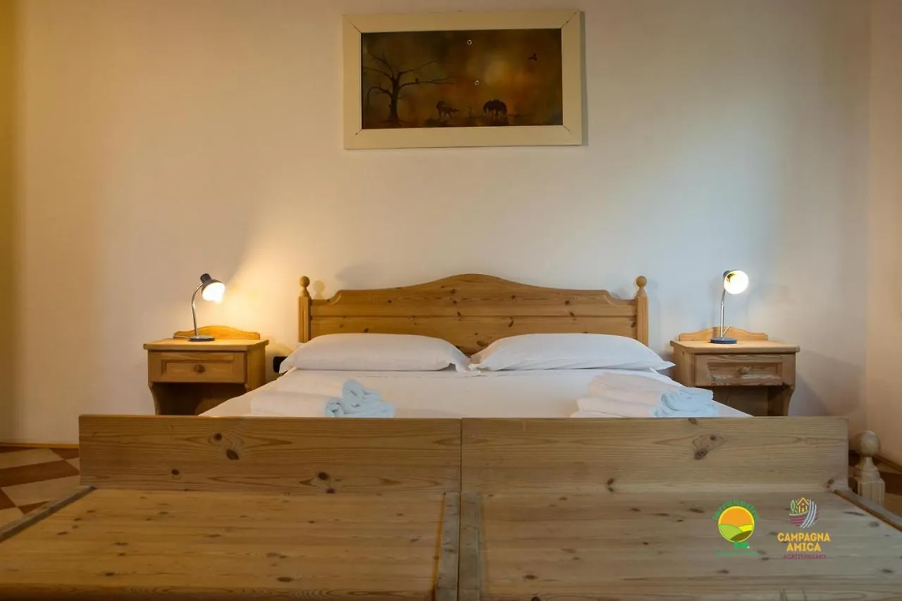 La Via Antiga Apartment Cittanova  Italy